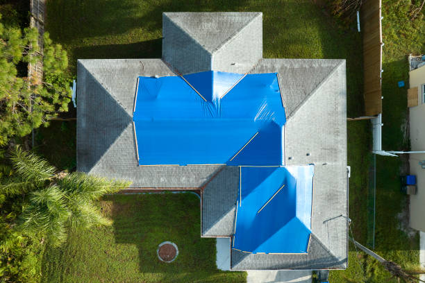 Best Steel Roofing  in Lowell, AR